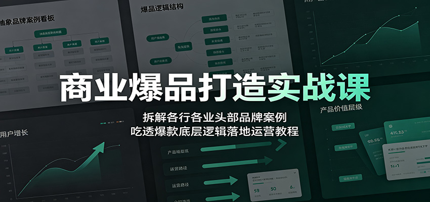 商业爆品打造实战课:拆解各行各业头部品牌案例,吃透爆款底层逻辑落地运营教程-阿牛笔记