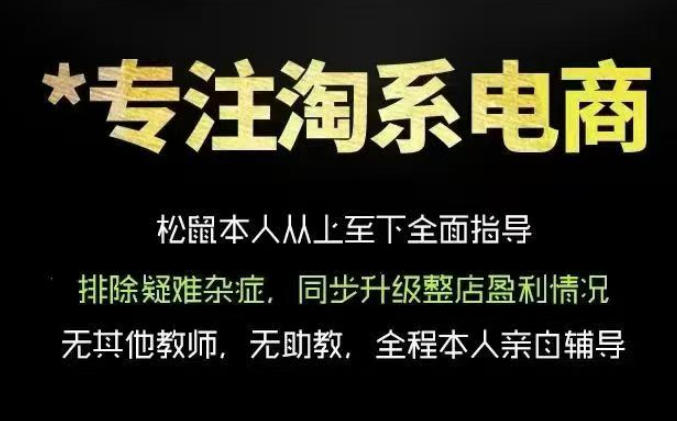 松鼠会电商VIP课程，从基础布局到高阶优化，助你掌握淘宝运营逻辑，提升店铺流量与转化(更新0815)-阿牛笔记