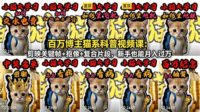 百万博主猫系科普视频课:剪映关键帧+抠像+复合片段,新手也能月入过万-阿牛笔记