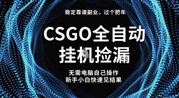 【稳定副业】全球最热门游戏CSGO全自动捡漏，最新玩法，新手小白日入5张+【揭秘】-阿牛笔记