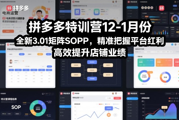 拼多多特训营12-1月份，全新3.01矩阵Sop，精准把握平台红利，高效提升店铺业绩-阿牛笔记