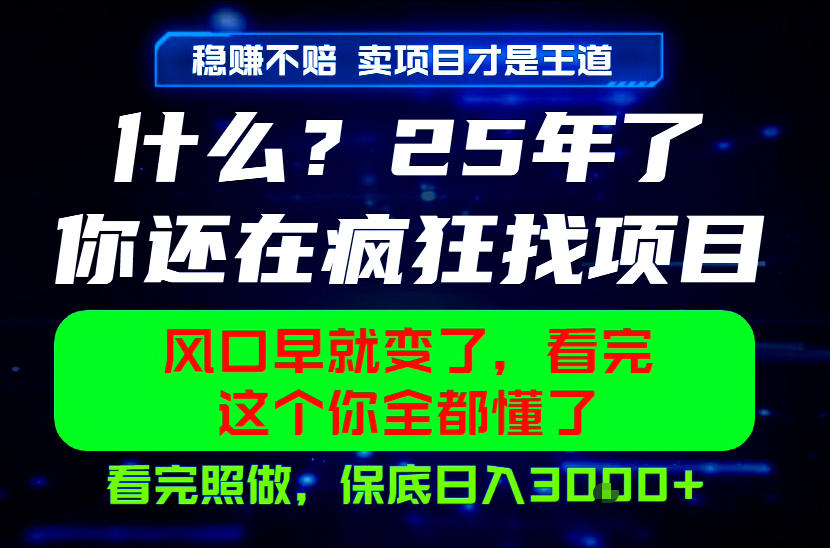 26年,请不要疯狂的找项目做了!卖项目才是真的稳賺不赔,看完照做,保底日入1k+【揭秘】-阿牛笔记