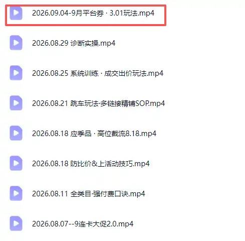 拼多多实战特训营(更新26年9月-阿牛笔记