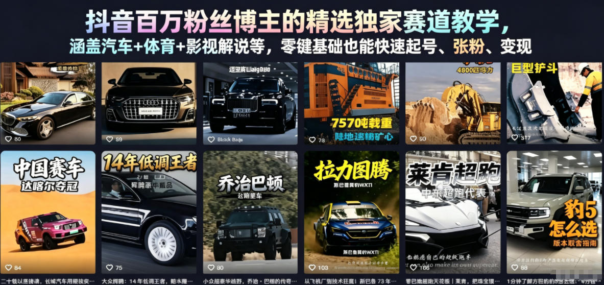 抖音百万粉丝博主的精选独家赛道教学,涵盖汽车+体育+影视解说等,零基础也能快速起号、涨粉、变现-阿牛笔记