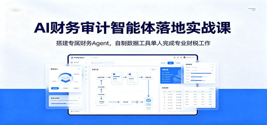 AI财务审计智能体落地实战课：搭建专属财务Agent，自制数据工具单人完成专业财税工作-阿牛笔记