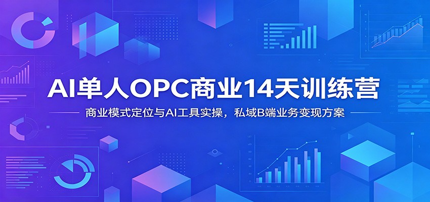 AI单人OPC商业14天训练营：商业模式定位与AI工具实操，私域B端业务变现方案-阿牛笔记