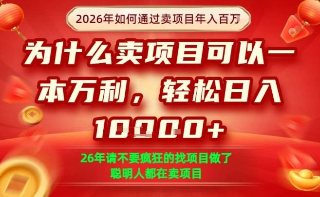 一单净利润1K+，26年想年入100个W，死磕卖项目就够了【揭秘】-阿牛笔记