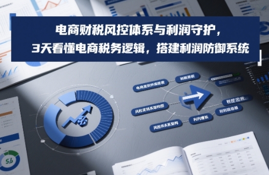 电商财税风控体系与利润守护，3天看懂电商税务逻辑，搭建利润防御系统-阿牛笔记