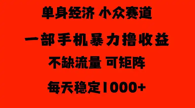 26年暴力单身经济,稳定日入500-1k,不缺流量,流量极大,冷门小众赛道,门槛低小白轻松上手【揭秘】-阿牛笔记