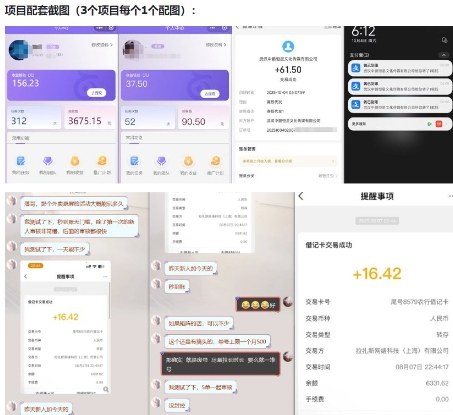 当天能收益的3个小项目拆解_包括平台+操作流程-阿牛笔记
