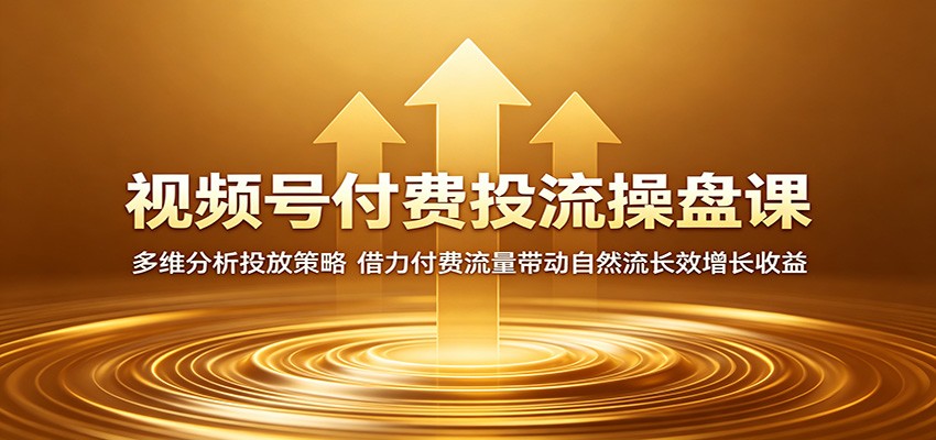 视频号付费投流操盘课：多维分析投放策略，借力付费流量带动自然流长效增长收益-阿牛笔记