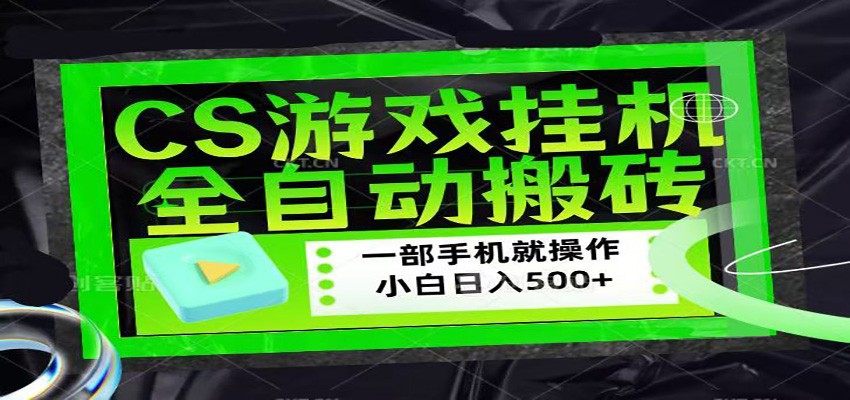 CSGO游戏挂机捡漏搬砖，超稳定的项目，带领1000+小白实现日入500+-阿牛笔记