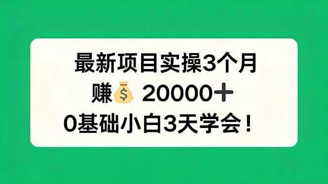 最新项目实操3个月，赚钱20000+，0基础小白3天学会！-阿牛笔记