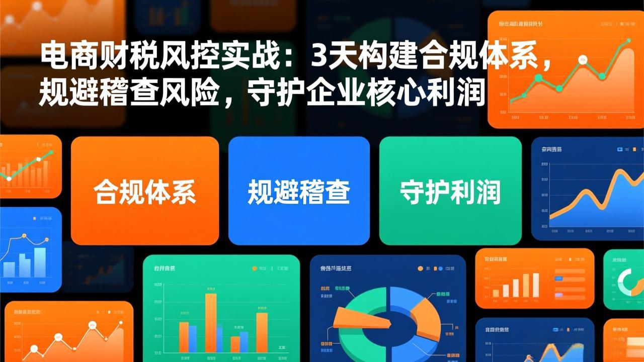 电商财税风控实战：3天构建合规体系，规避稽查风险，守护企业核心利润-阿牛笔记