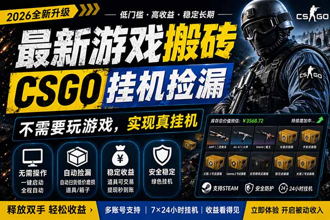 最新游戏搬砖，CSGO纯挂机，不需要玩游戏，实现真挂机，月入1W+，五一小高峰上车可吃肉，…-阿牛笔记