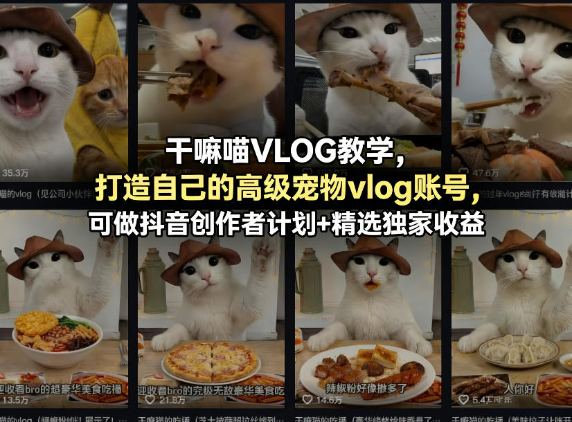 干嘛喵VLOG教学，打造自己的高级宠物vlog账号，可做抖音创作者计划+精选独家收益-阿牛笔记