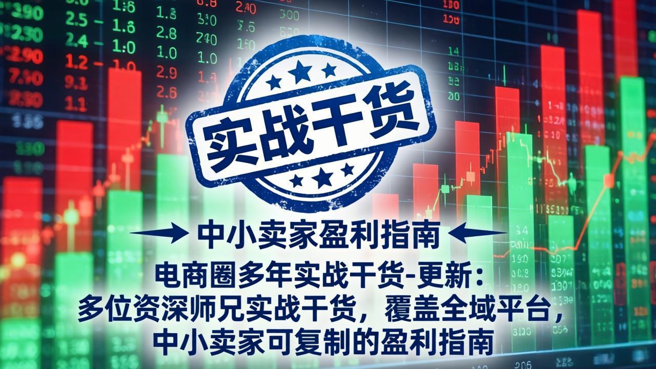 电商圈多年实战干货-更新2026:多位资深师兄实战干货/覆盖全域平台,中小卖家可复制的盈利指南-阿牛笔记