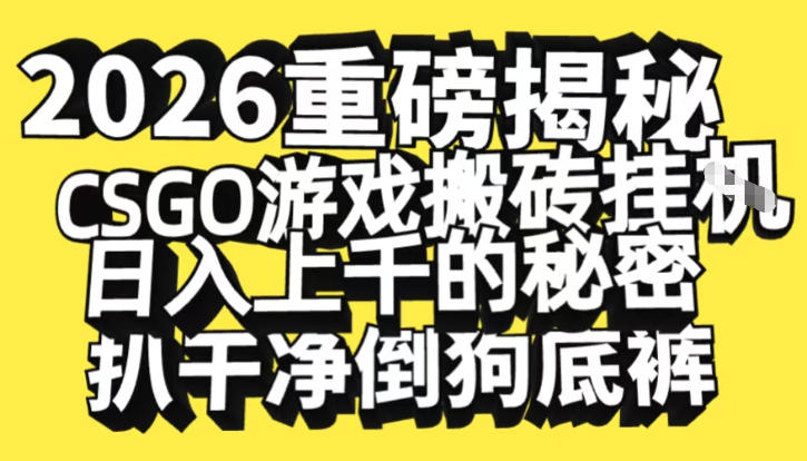 2026开年重磅解密，CSGO游戏搬砖挂G日入1k+的秘密，把倒狗的底裤扒干【揭秘】-阿牛笔记