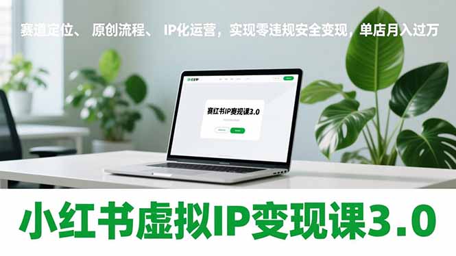 小红书虚拟IP变现课3.0，赛道定位、原创流程、IP化运营，实现零违规安全变现，单店月入过万-阿牛笔记