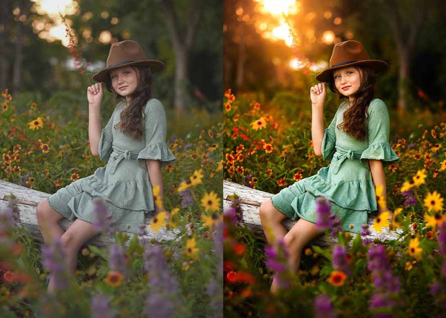 大师级GTG出品-老友记系列AI自适应预设The Friends Preset Collection-阿牛笔记