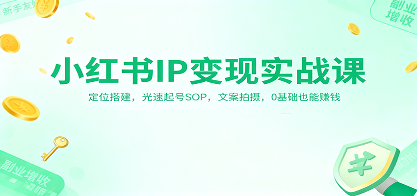小红书IP变现实战课：定位搭建，光速起号SOP，文案拍摄，0基础也能赚钱-阿牛笔记