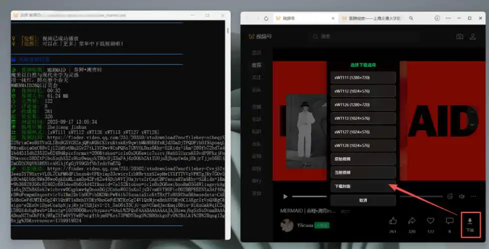 Github热门工具,视频号下载神器又来了!一键注入下载按钮,轻松下载,使用便捷wx_channel-阿牛笔记