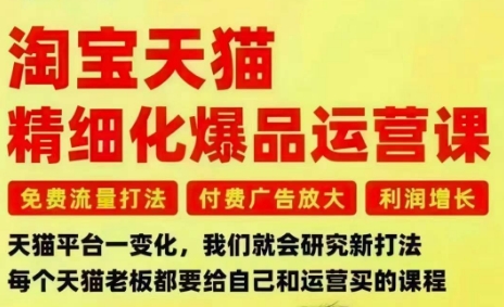 淘宝天猫精细化爆品运营课，免费流量打法-付费广告放大-利润增长-三大核心痛点，一次全部解决-阿牛笔记