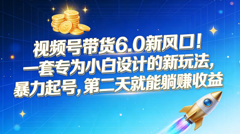 视频号带货 6.0 新风口！一套专为小白设计的新玩法，暴力起号，第二天就能躺赚收益-阿牛笔记